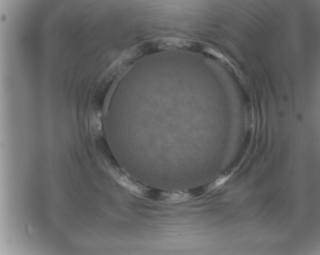 X0000075840621200609221706