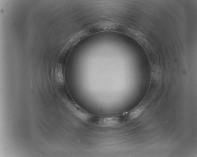 X0000075840622200609221706