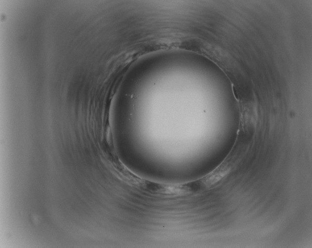 X0000075840623200609221706