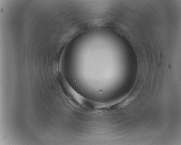 X0000075840624200609221706