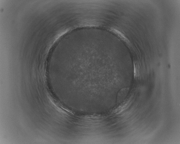 X0000075840627200609221706