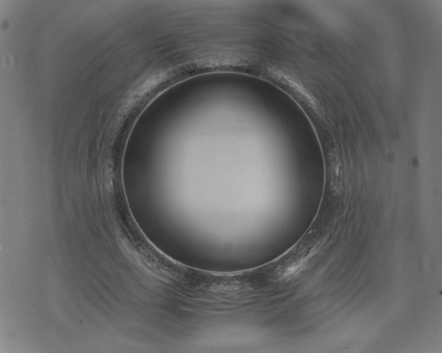 X0000075840631200609221706