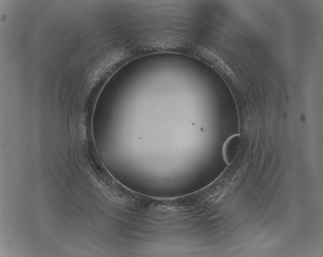 X0000075840635200609221706