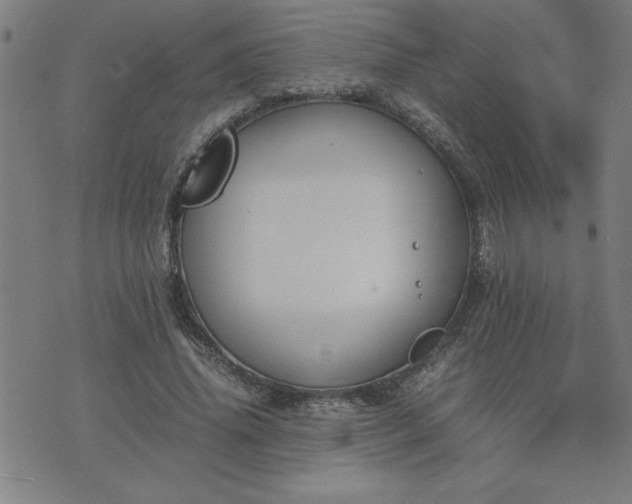 X0000075840636200609221706