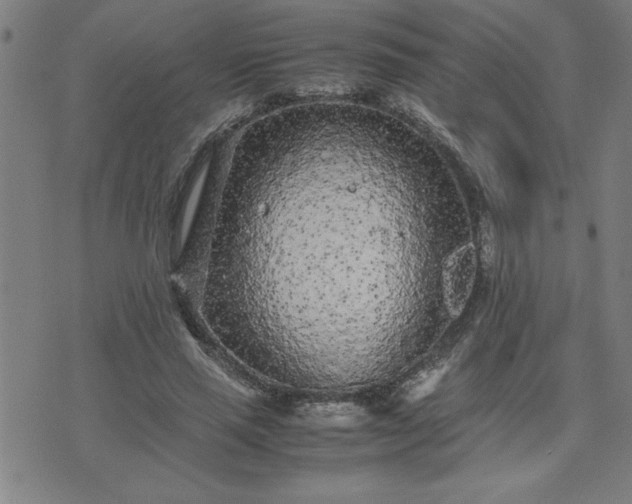 X0000075840637200609221706