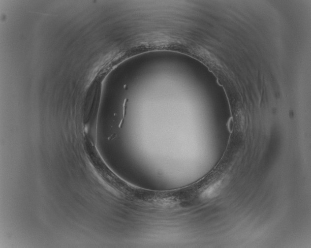 X0000075840638200609221706