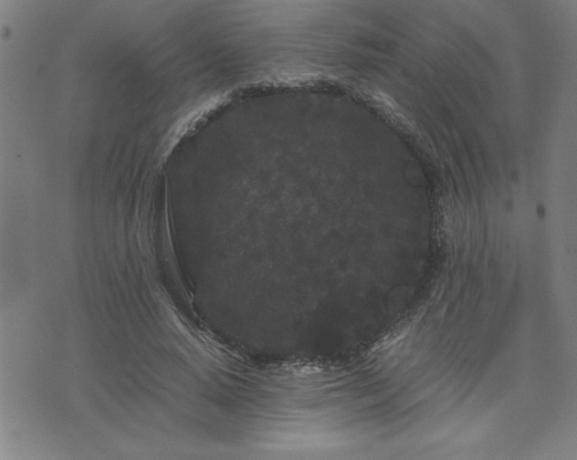 X0000075840640200609221706