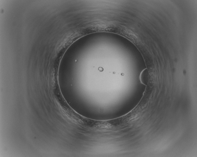 X0000075840642200609221706