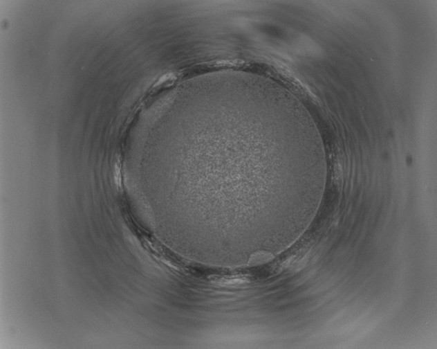 X0000075840643200609221706