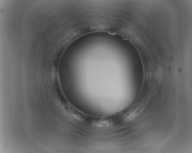 X0000075840647200609221706