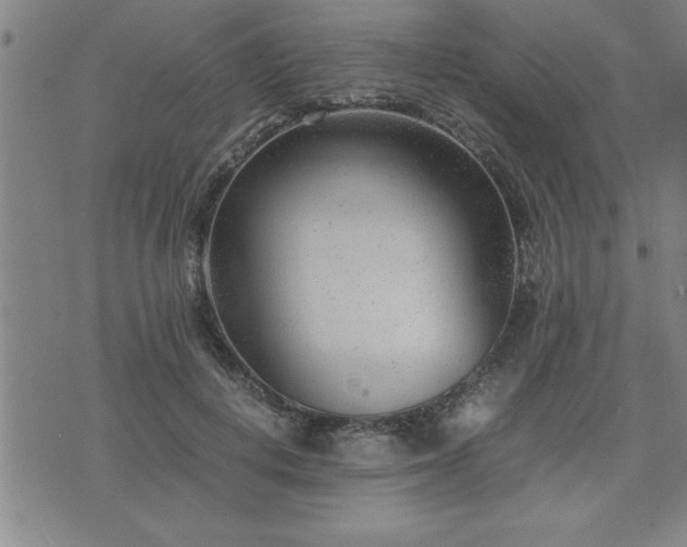 X0000075840648200609221706