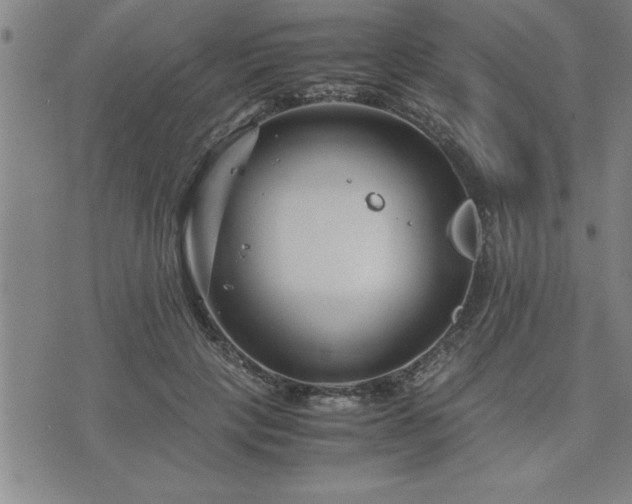 X0000075840649200609221706