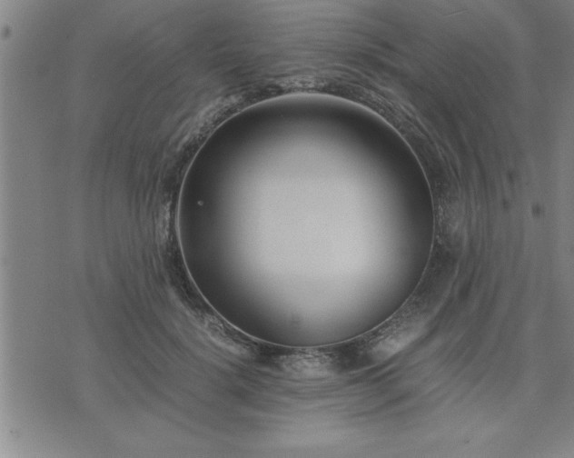 X0000075840652200609221706