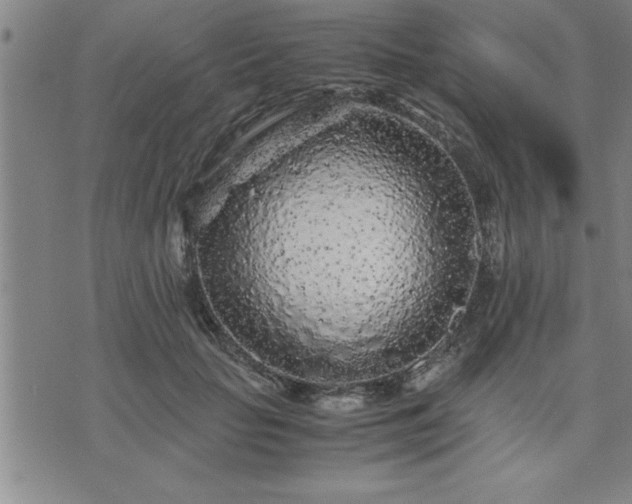 X0000075840653200609221706