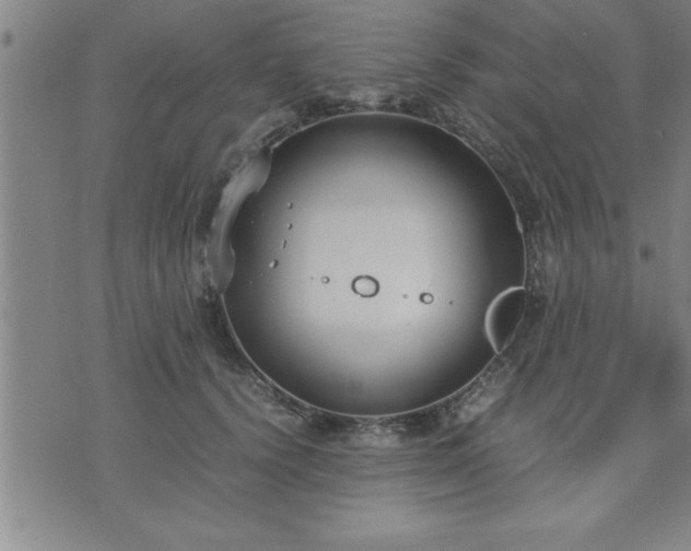 X0000075840656200609221706