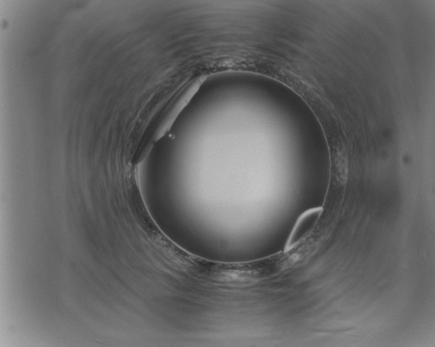 X0000075840657200609221706