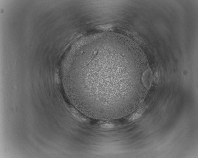 X0000075840658200609221706