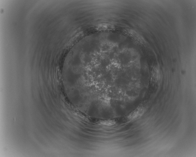 X0000075840659200609221706