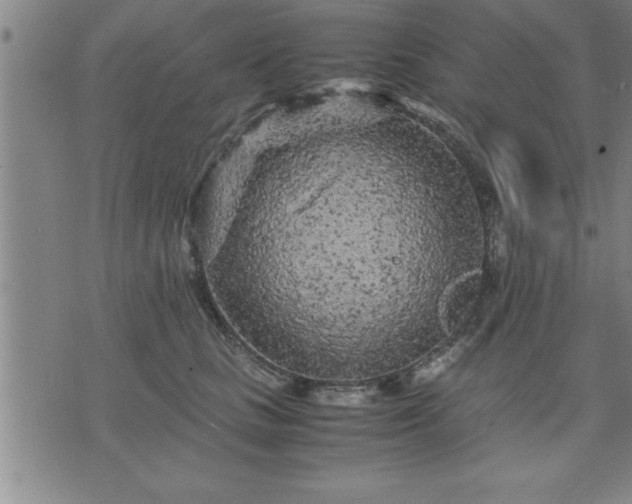 X0000075840661200609221706