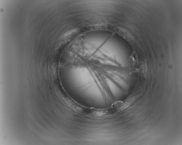 X0000075840662200609221706