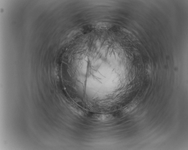 X0000075840663200609221706