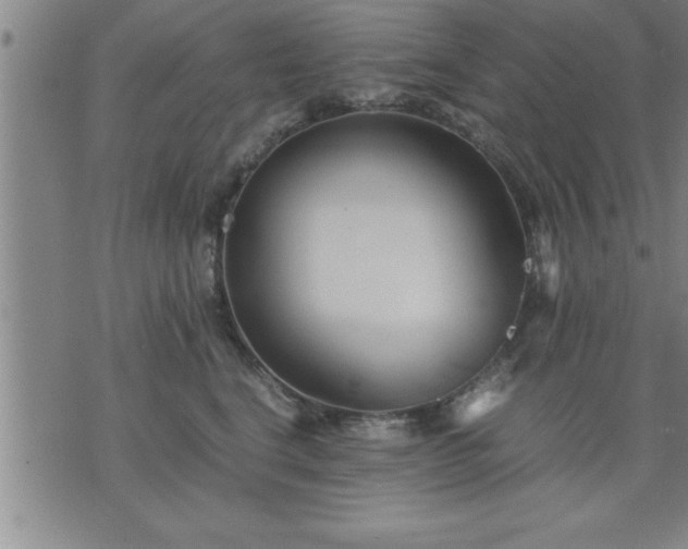 X0000075840664200609221706