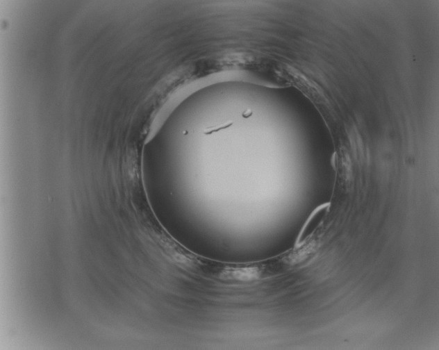 X0000075840665200609221706