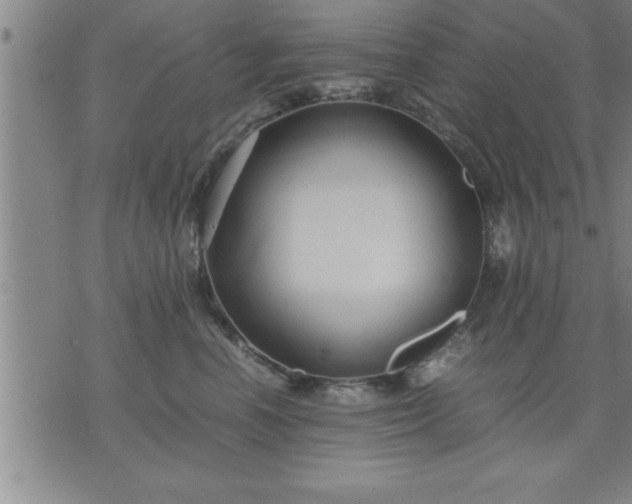 X0000075840666200609221706