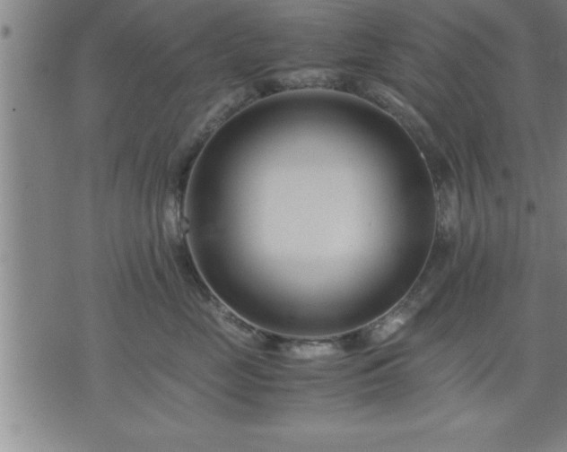 X0000075840669200609221706