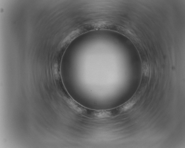 X0000075840670200609221706