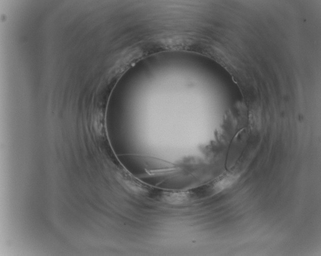 X0000075840671200609221706