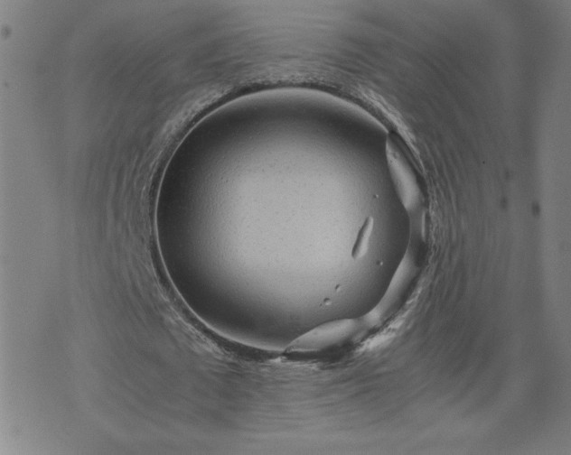 X0000075840673200609221706