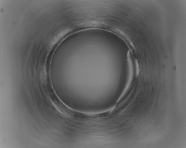 X0000075840674200609221706