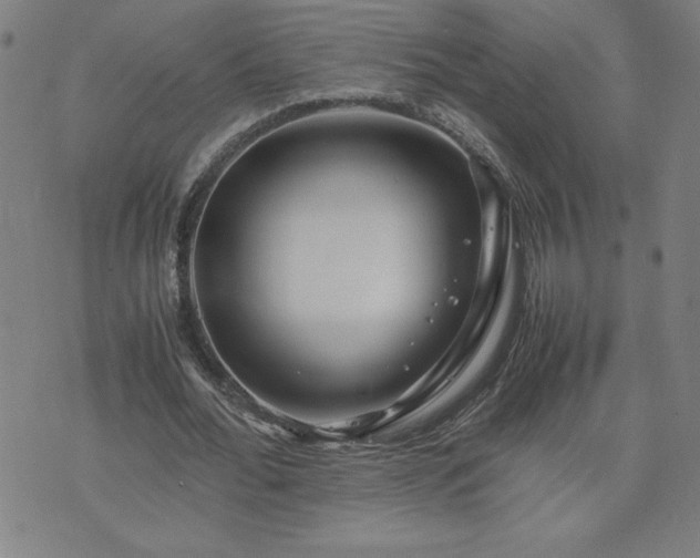 X0000075840676200609221706