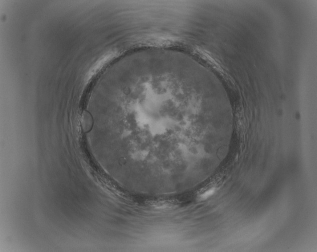 X0000075840679200609221706