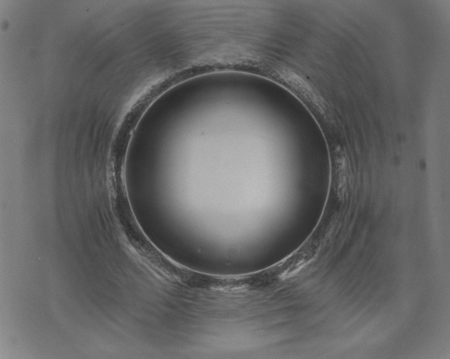 X0000075840680200609221705