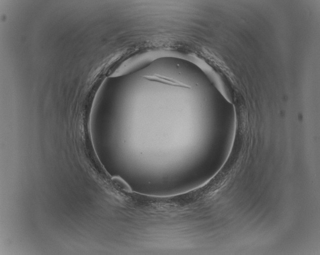 X0000075840681200609221705