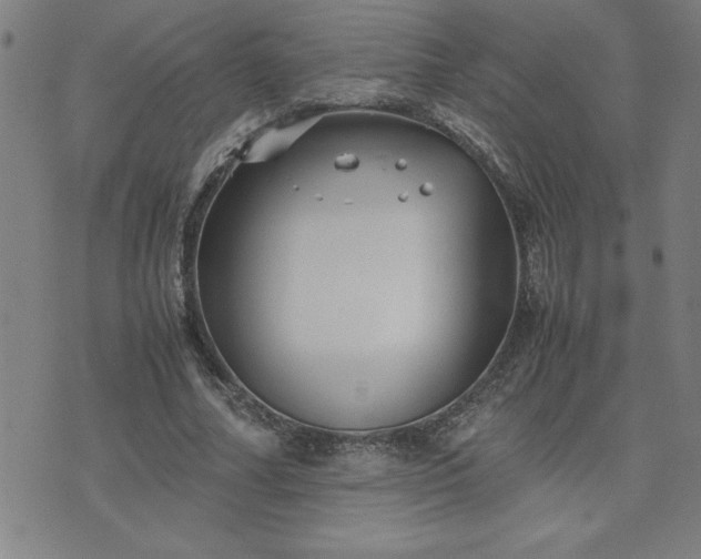 X0000075840682200609221705