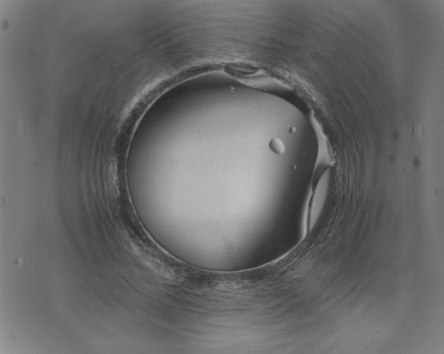 X0000075840684200609221705