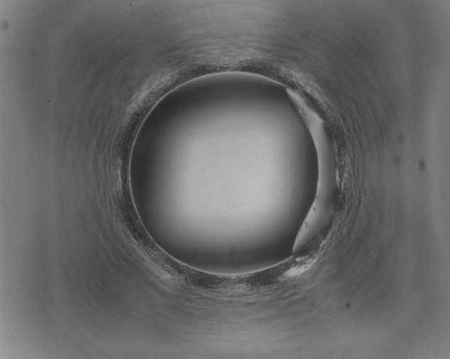 X0000075840685200609221705