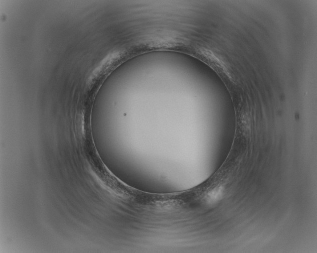 X0000075840686200609221705