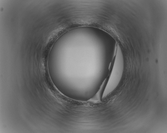 X0000075840688200609221705