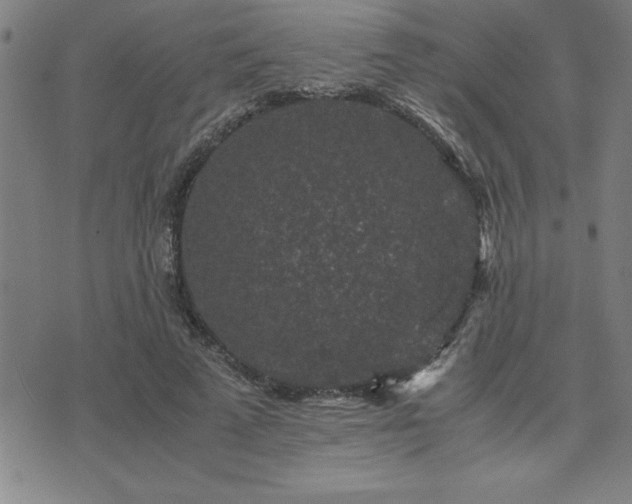 X0000075840689200609221705