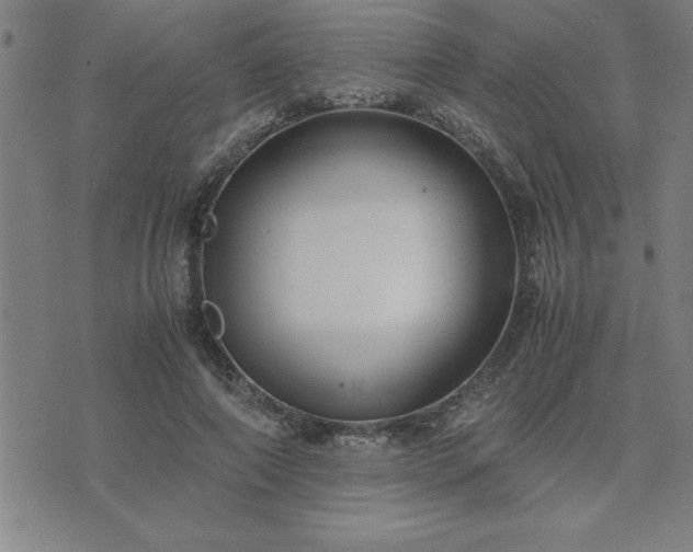 X0000075840690200609221705