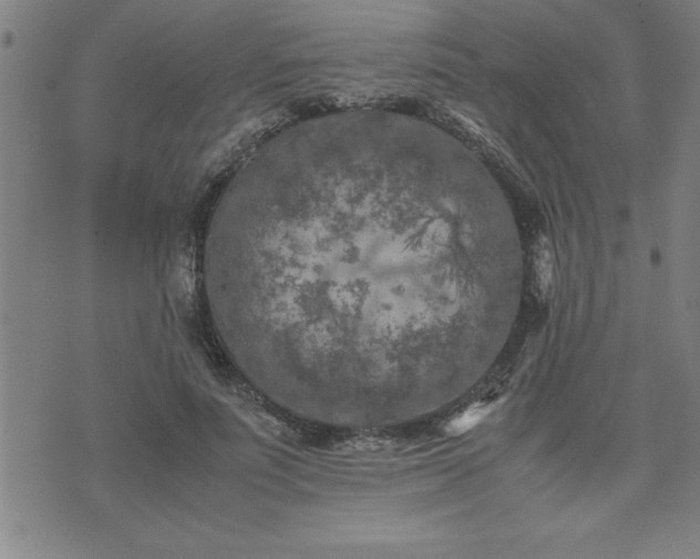 X0000075840691200609221705