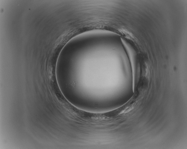 X0000075840693200609221705