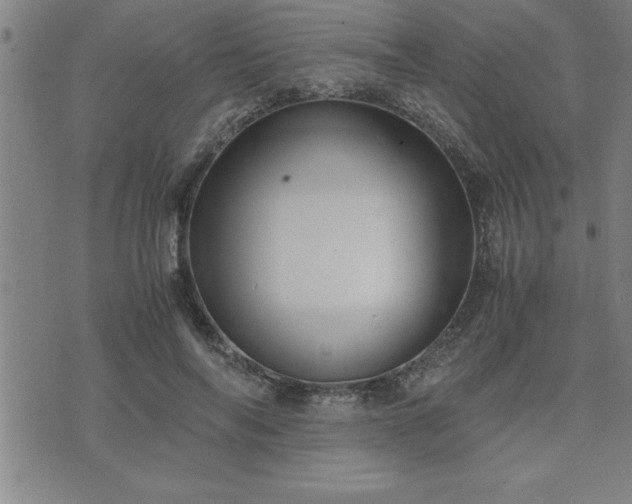 X0000075840694200609221705