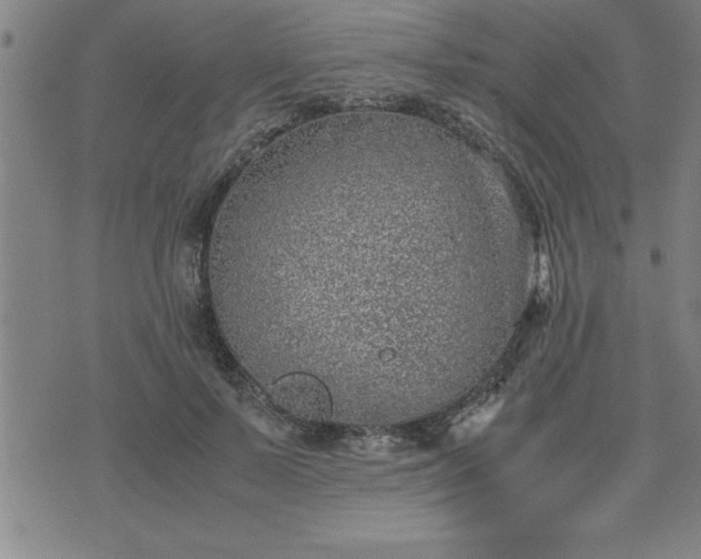 X0000075840695200609221705