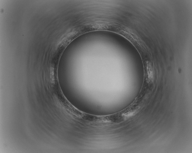 X0000075840696200609221705