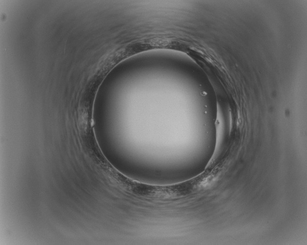 X0000075840697200609221705